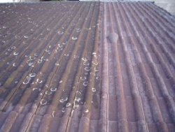 Dachreinigung - Vorher / Nachher