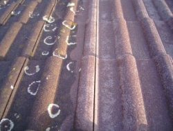 Dachreinigung - sichtbare Entfernung von Moos und Schmutz