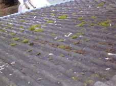Verschmutztes Dach vor Reinigung
