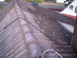 Dach während Reinigung - Vorher / Nachher